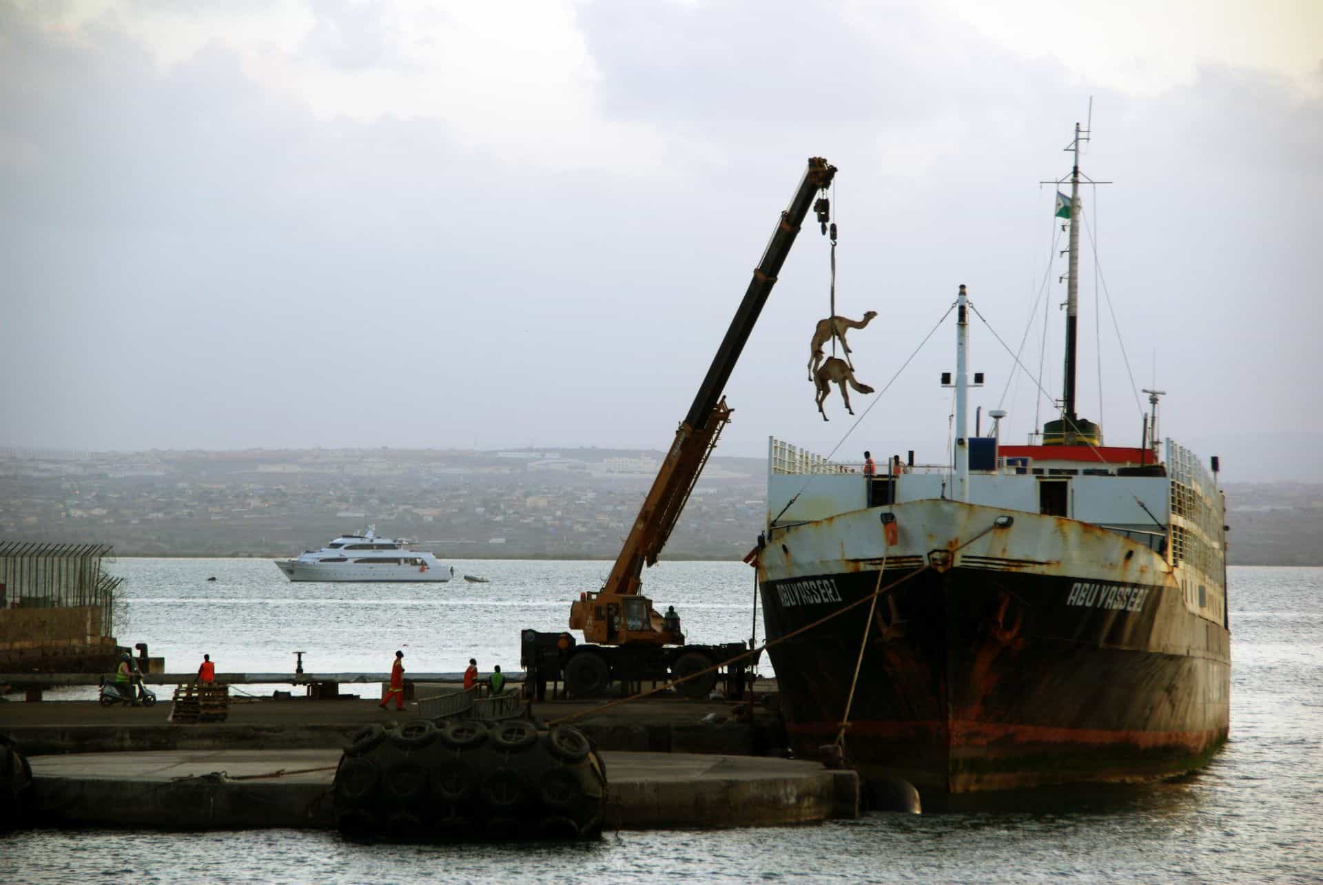 Camels are loaded on a ship in an African port. Legal Hybrid: geopolitical investment research