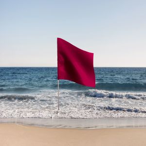 Red flag sanction packages.